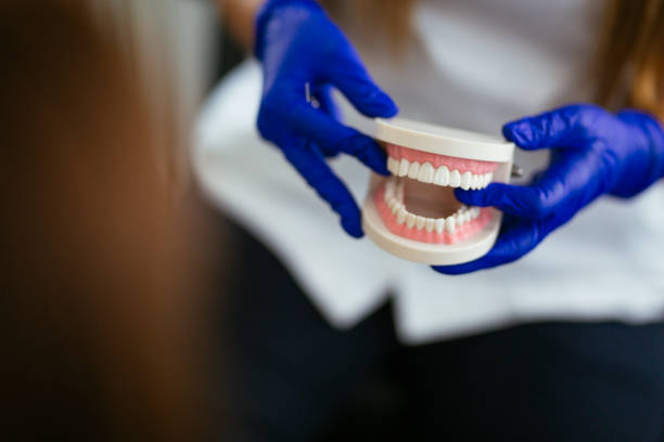 Why Choose Us for Your Dental Needs in Seatac, WA